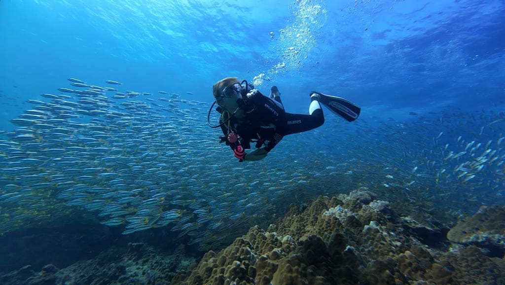 A diver swimming right side by a giant school of fishes.